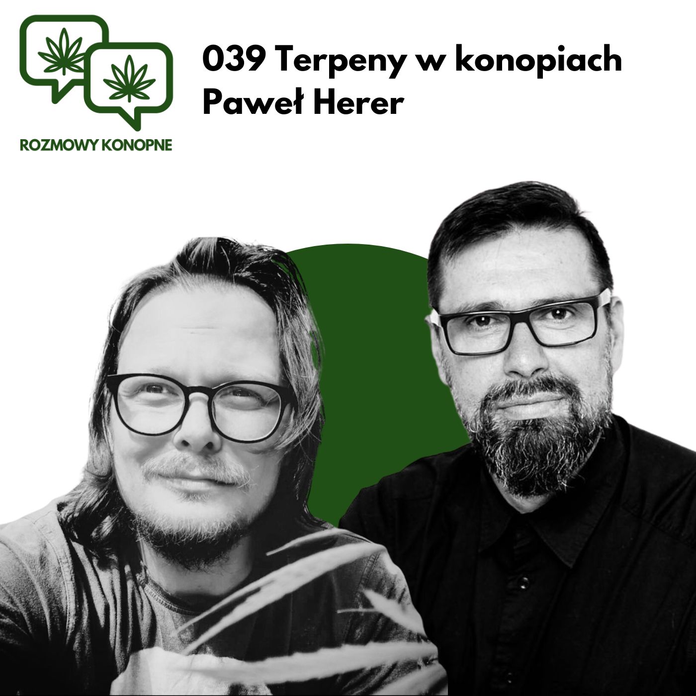 Rozmowy konopne 039 Terpeny w konopiach - expert Paweł Herer