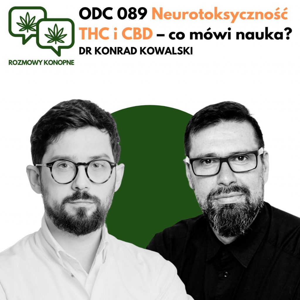 Podcast Rozmowy konopne ODC 089 Neurotoksyczność THC i CBD – co mówi nauka DR KONRAD KOWALSKI
