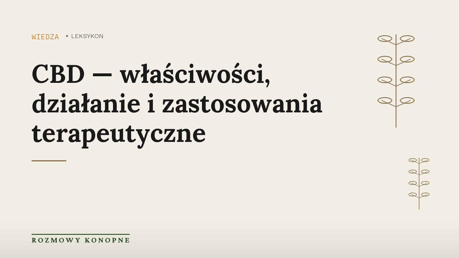 CBD a rak jelita grubego — badania nad kannabinoidami w onkologii