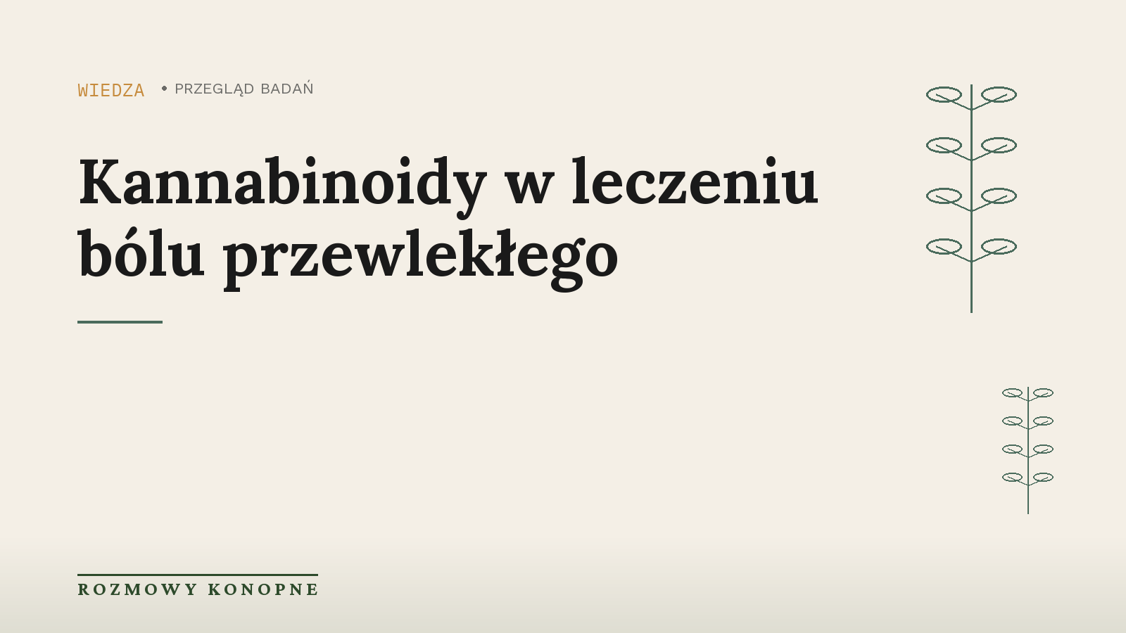Kannabinoidy w leczeniu bólu przewlekłego, temat polskiego podcastu konopnego