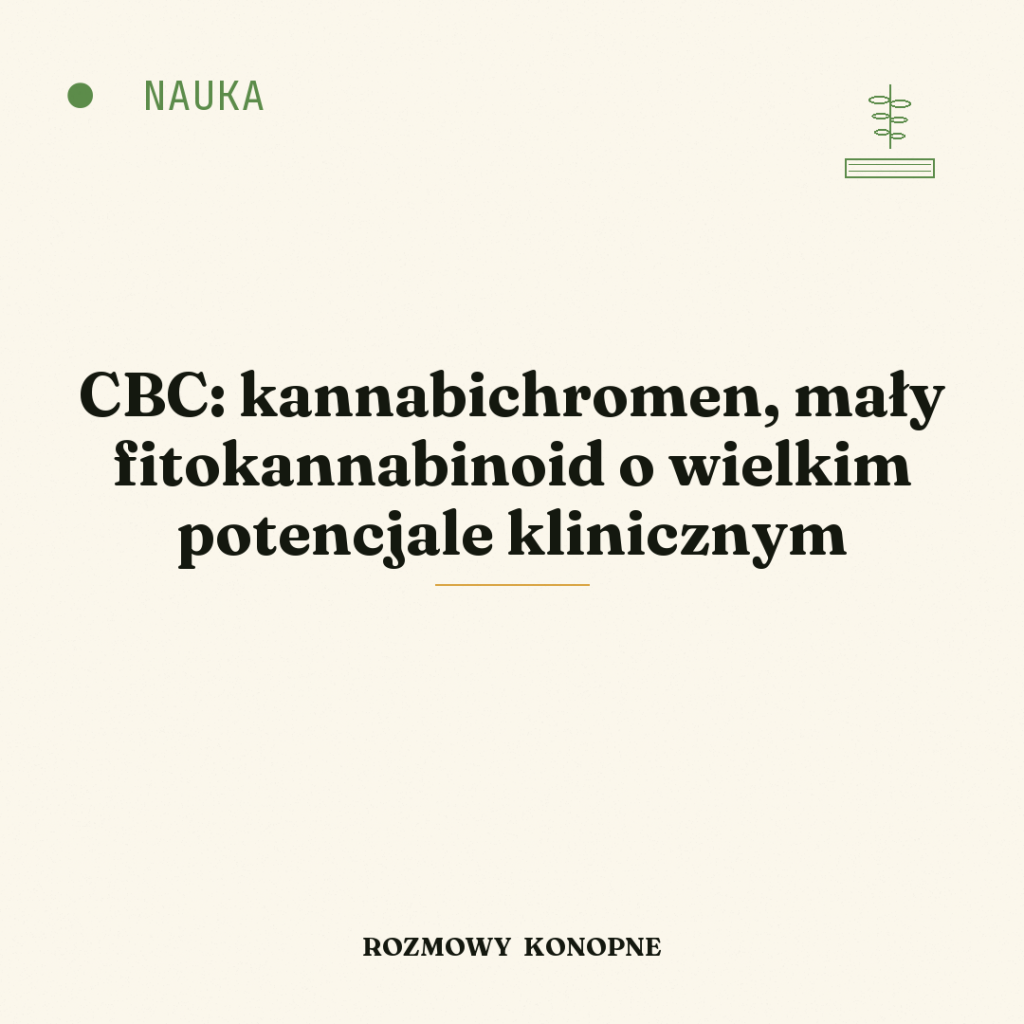 CBC: kannabichromen, mały fitokannabinoid o wielkim potencjale klinicznym