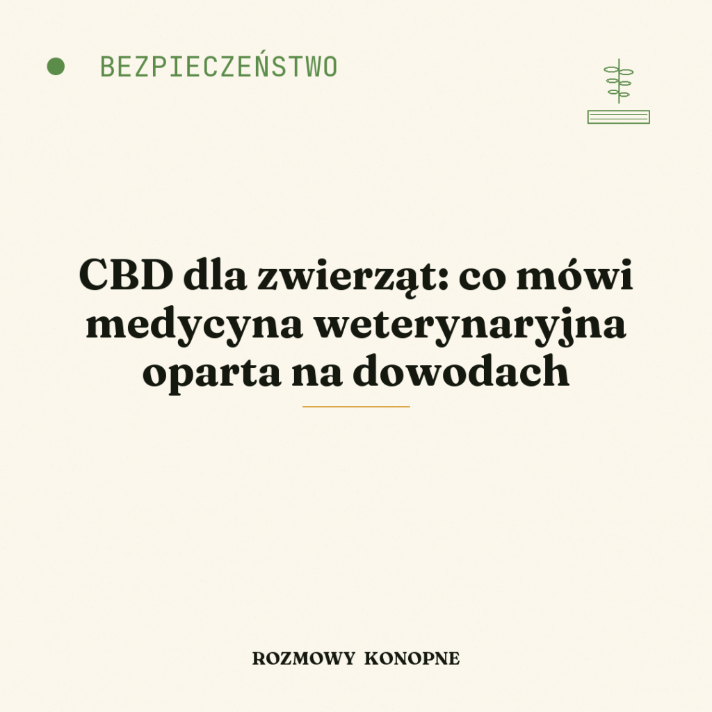 CBD dla zwierząt: co mówi medycyna weterynaryjna oparta na dowodach