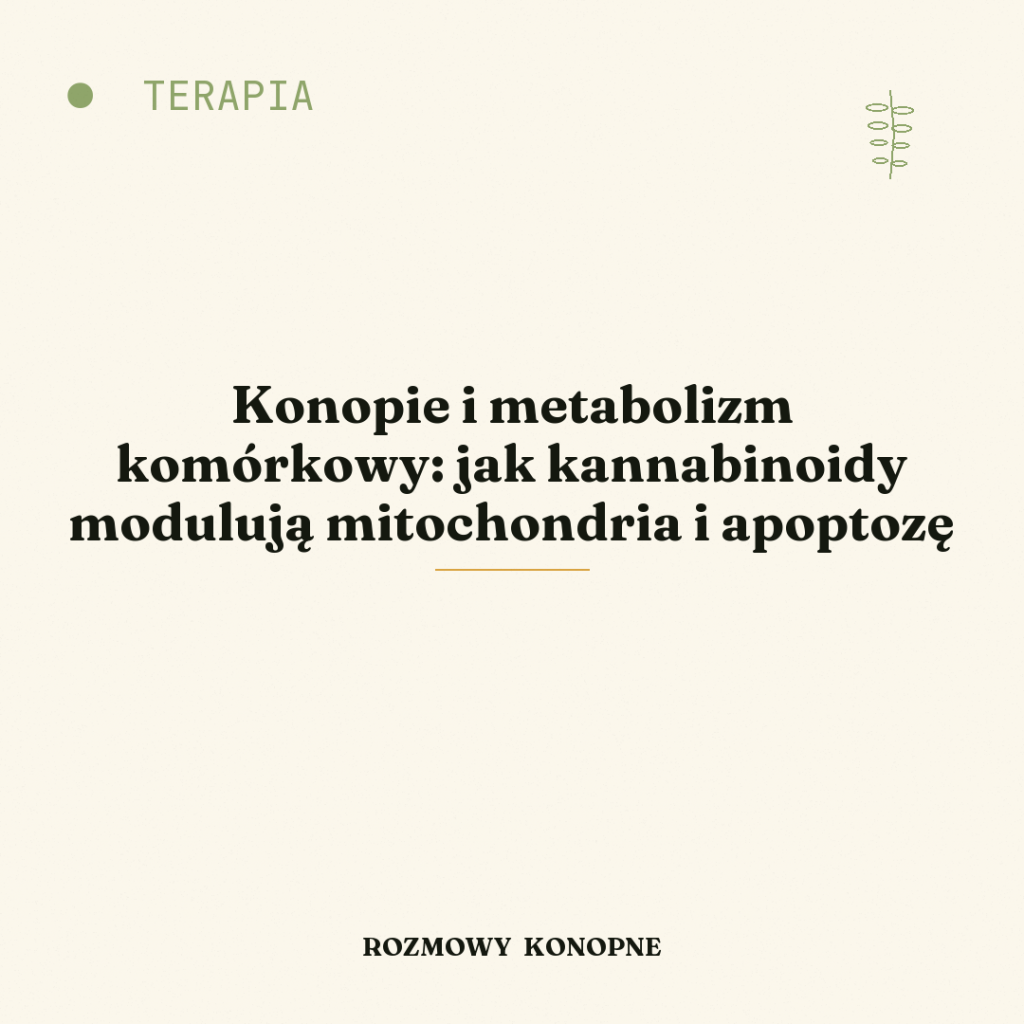 Konopie i metabolizm komórkowy: jak kannabinoidy modulują mitochondria i apoptozę