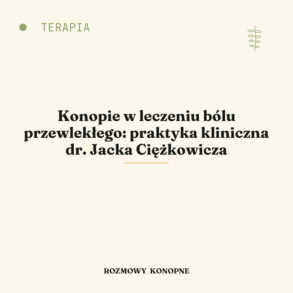 Konopie w leczeniu bólu przewlekłego: praktyka kliniczna dr. Jacka Ciężkowicza