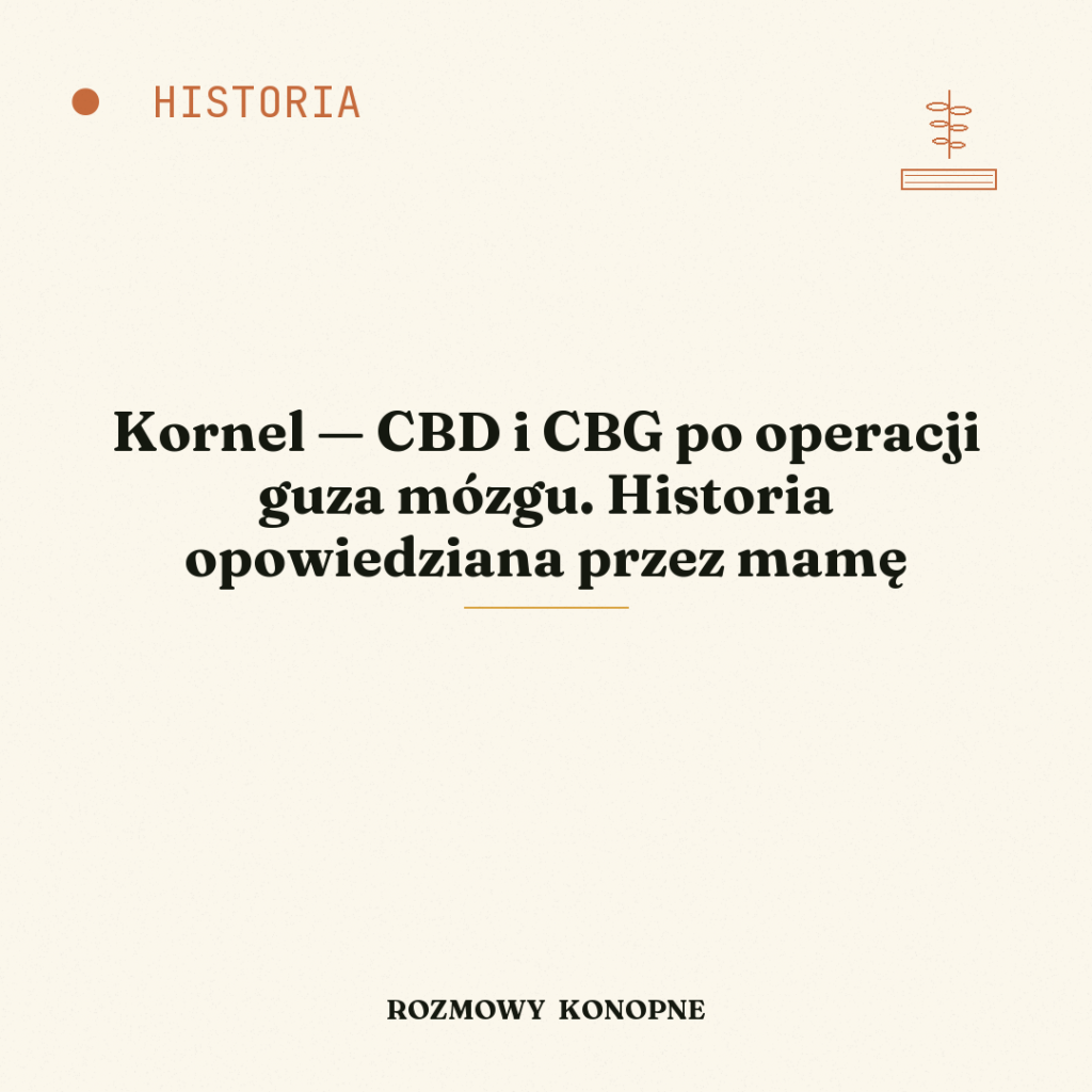 Kornel — CBD i CBG po operacji guza mózgu. Historia opowiedziana przez mamę