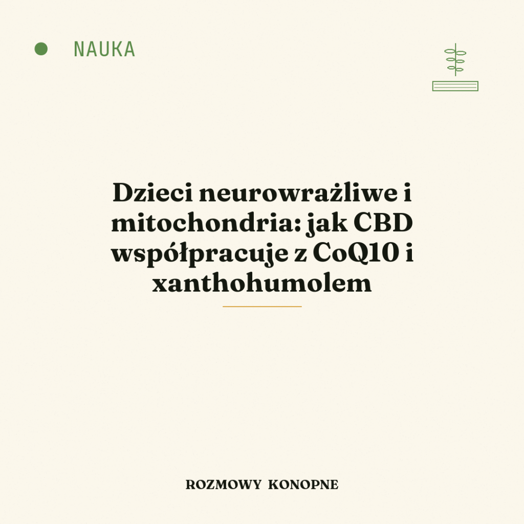 Dzieci neurowrażliwe i mitochondria: jak CBD współpracuje z CoQ10 i xanthohumolem