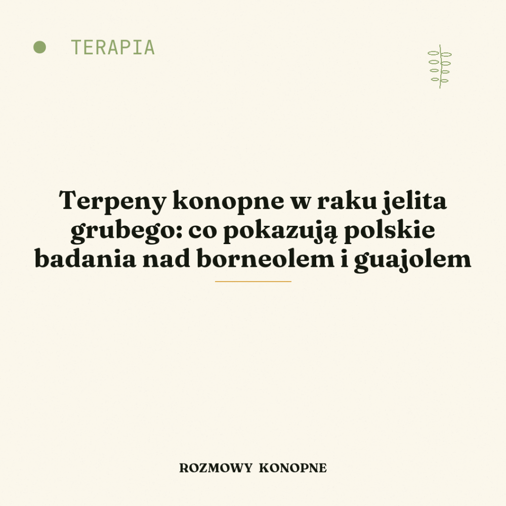 Terpeny konopne w raku jelita grubego: co pokazują polskie badania nad borneolem i guajolem