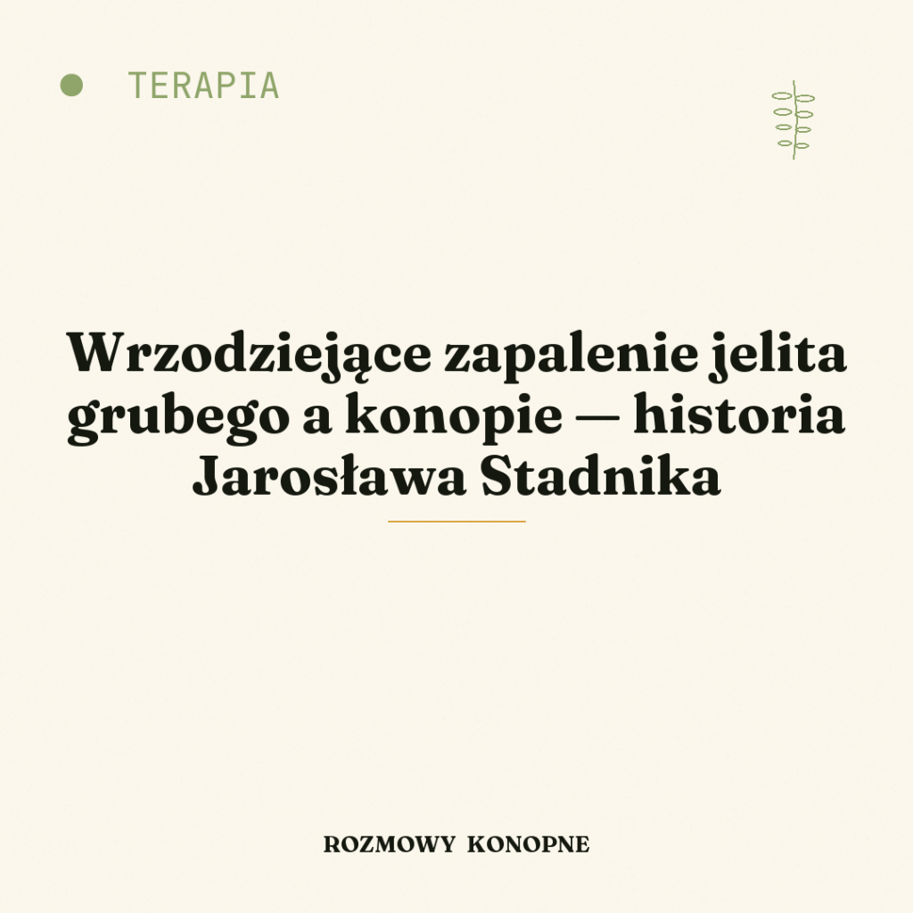 Wrzodziejące zapalenie jelita grubego a konopie — historia Jarosława Stadnika