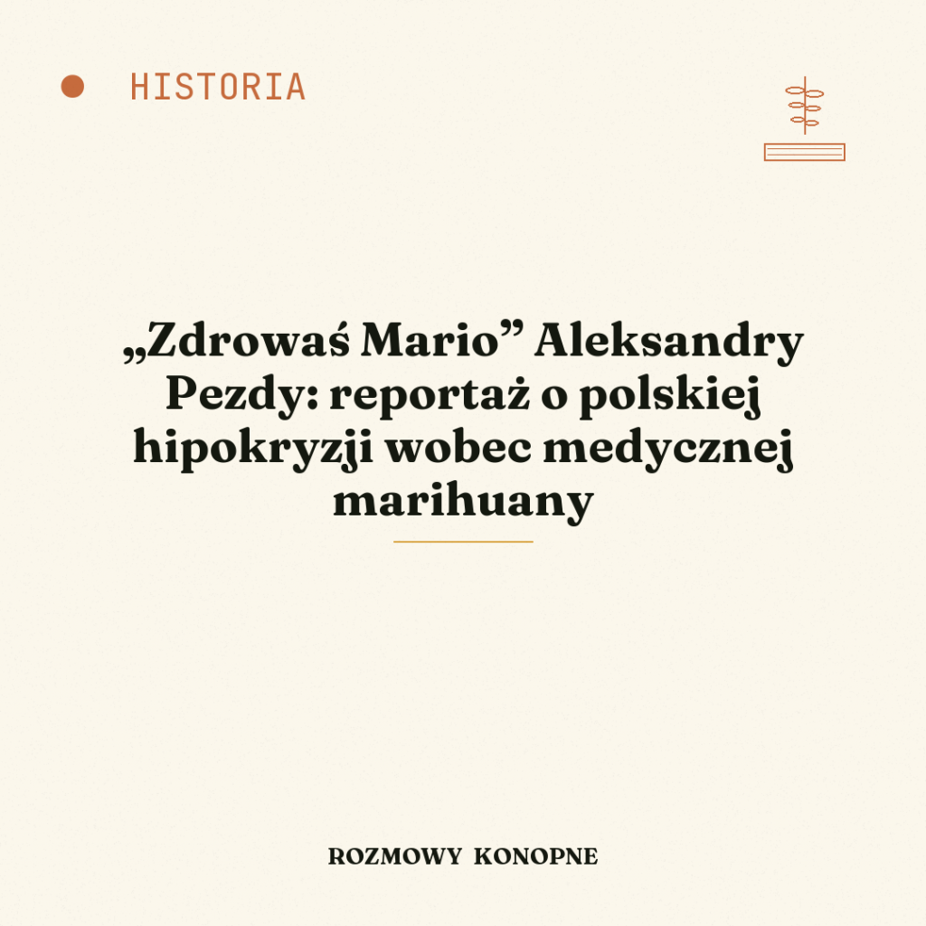 „Zdrowaś Mario” Aleksandry Pezdy: reportaż o polskiej hipokryzji wobec medycznej marihuany
