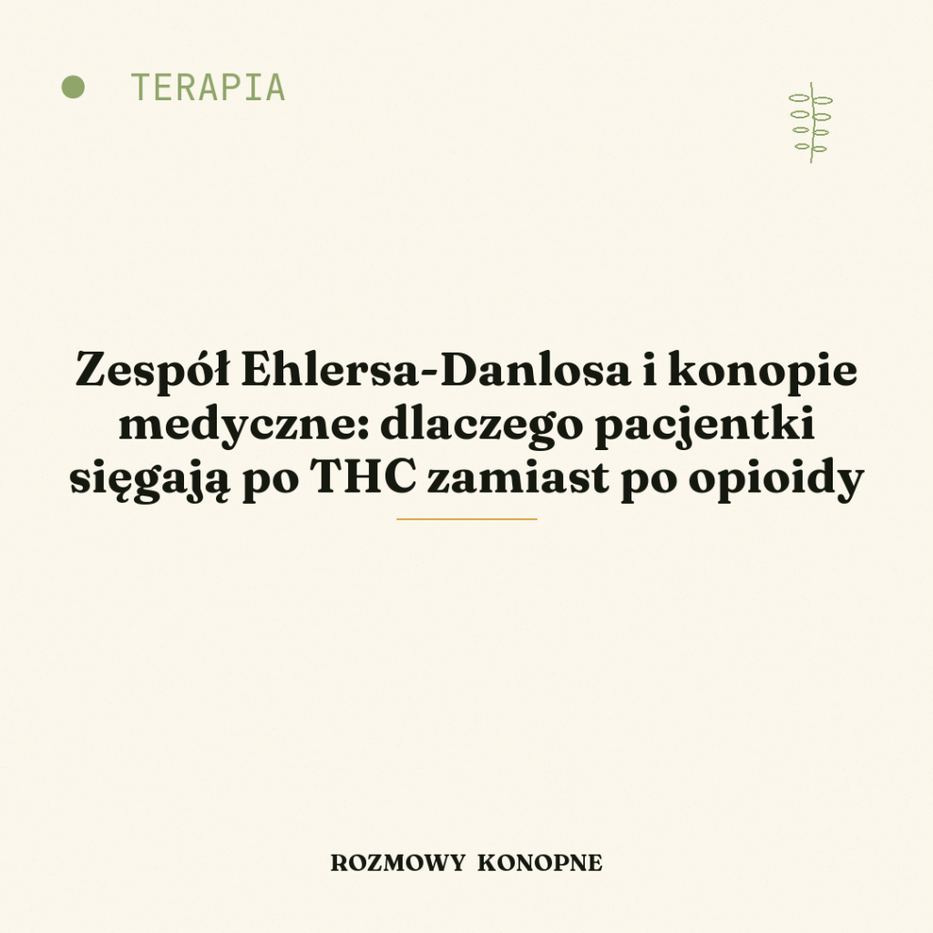 Zespół Ehlersa-Danlosa i konopie medyczne: dlaczego pacjentki sięgają po THC zamiast po opioidy